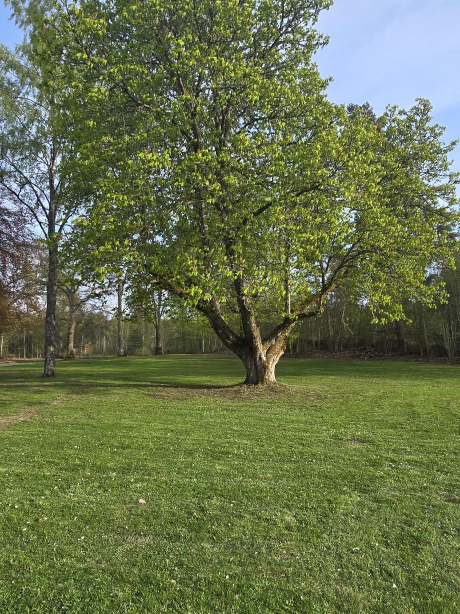 Stora Ekeberg Vandrarhem Axvall المظهر الخارجي الصورة